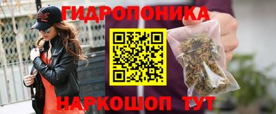 спайс Кандалакша