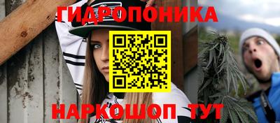 крисы Канаш