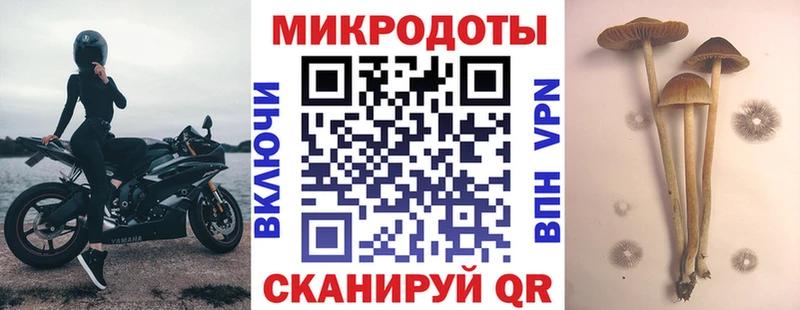 Галлюциногенные грибы Cubensis Великий Новгород