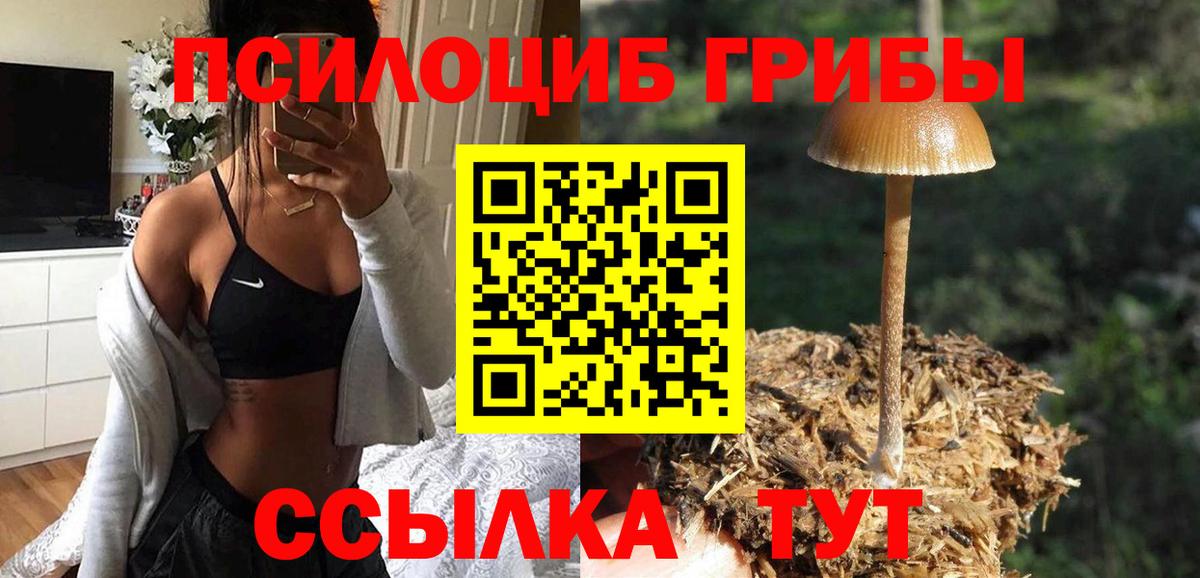 Великий Новгород  Псилоцибиновые грибы MAGIC MUSHROOMS  Вход с VPN 